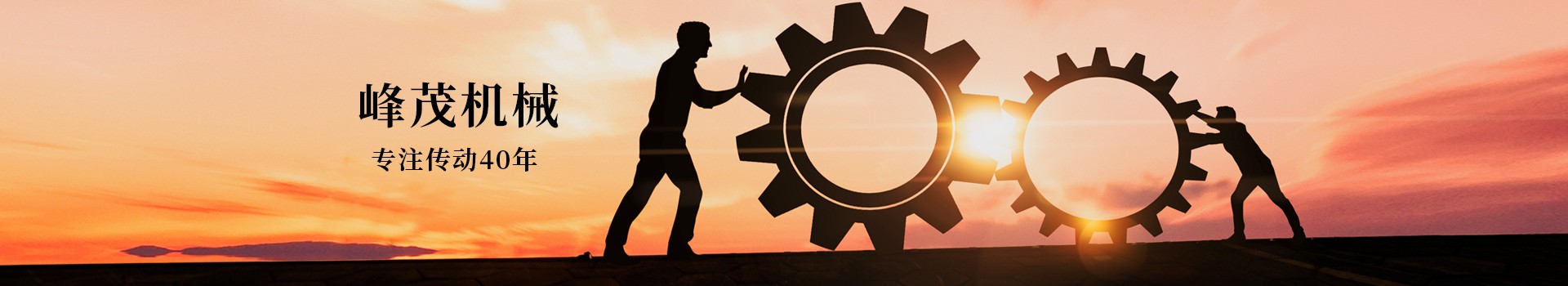 東莞市峰茂機械設(shè)備有限公司，專注齒條齒輪傳動40年